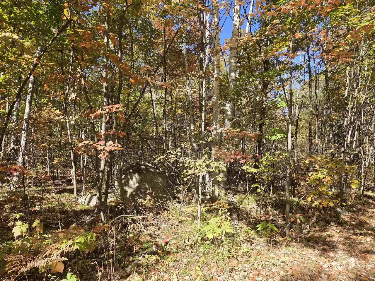 Photo 1 of Land for sale at W10976 Woods Rd, Dunbar, WI 54119 | MLS# 50334077 | Listing updated on 2026-10-09