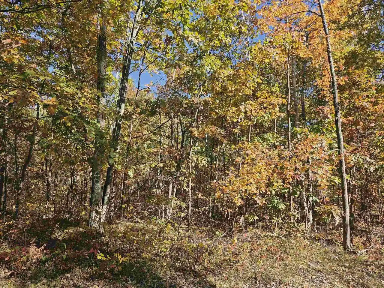 Photo 2 of Land for sale at W10976 Woods Rd, Dunbar, WI 54119 | MLS# 50334077 | Listing updated on 2026-10-09
