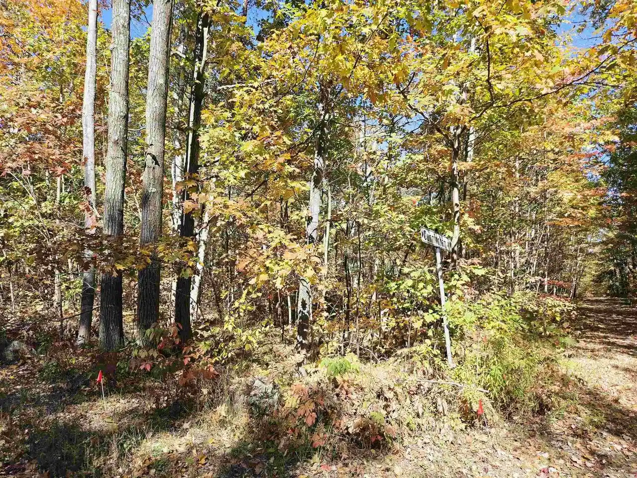 Photo 3 of Land for sale at W10976 Woods Rd, Dunbar, WI 54119 | MLS# 50334077 | Listing updated on 2026-10-09
