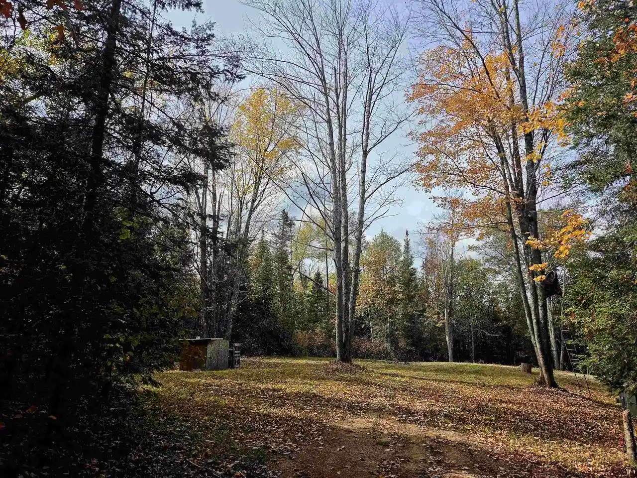 Photo 4 of Land for sale at N17755 Lily Lake Rd, Dunbar, WI 54119 | MLS# 50334076 | Listing updated on 2026-10-09
