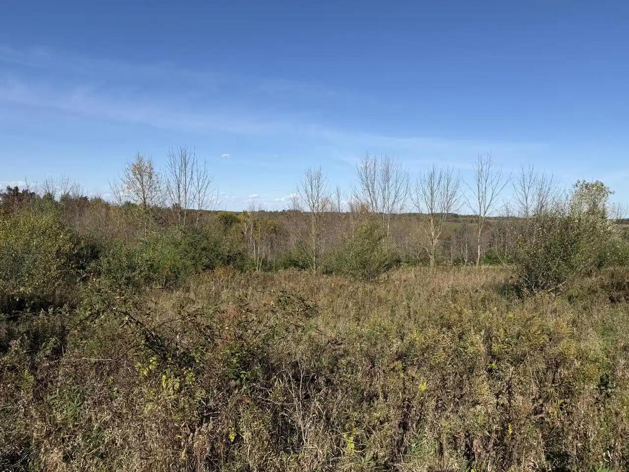 Photo 2 of Land for sale at Lot 31 Woodland Ln, Viola, WI 54664 | MLS# 1984199 | Listing updated on 2026-10-12