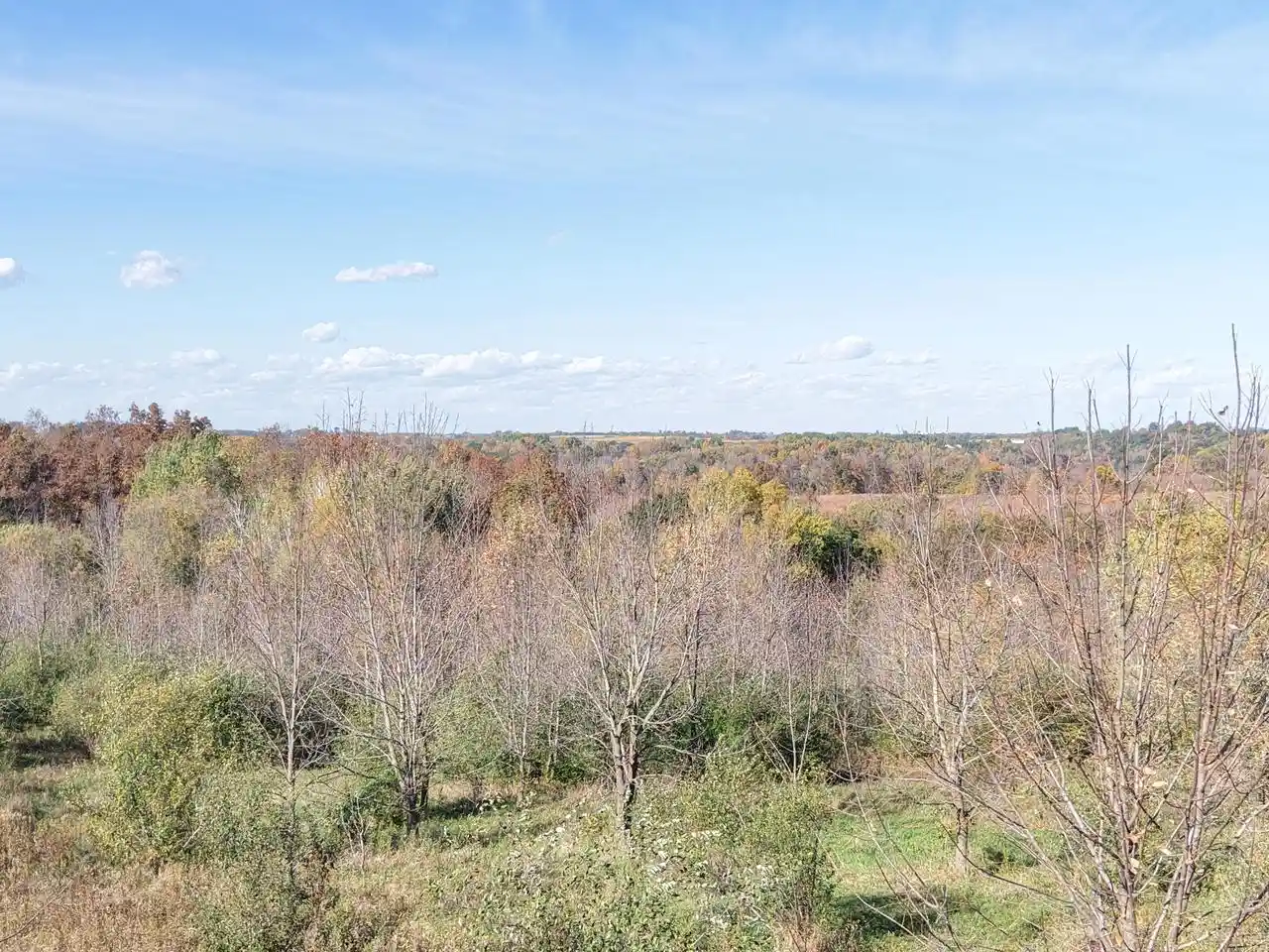 Photo 3 of Land for sale at Lot 31 Woodland Ln, Viola, WI 54664 | MLS# 1984199 | Listing updated on 2026-10-12