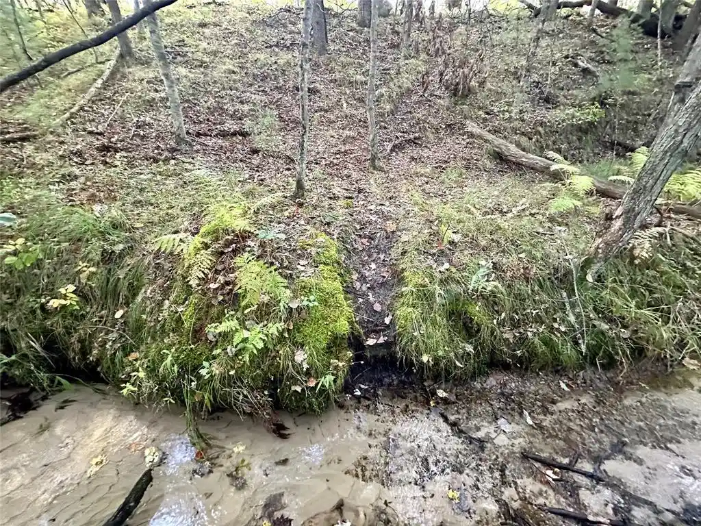 Photo 4 of Land for sale at S3678 County Rd N, Augusta, WI 54722 | MLS# 1605865 | Listing updated on 2026-10-09