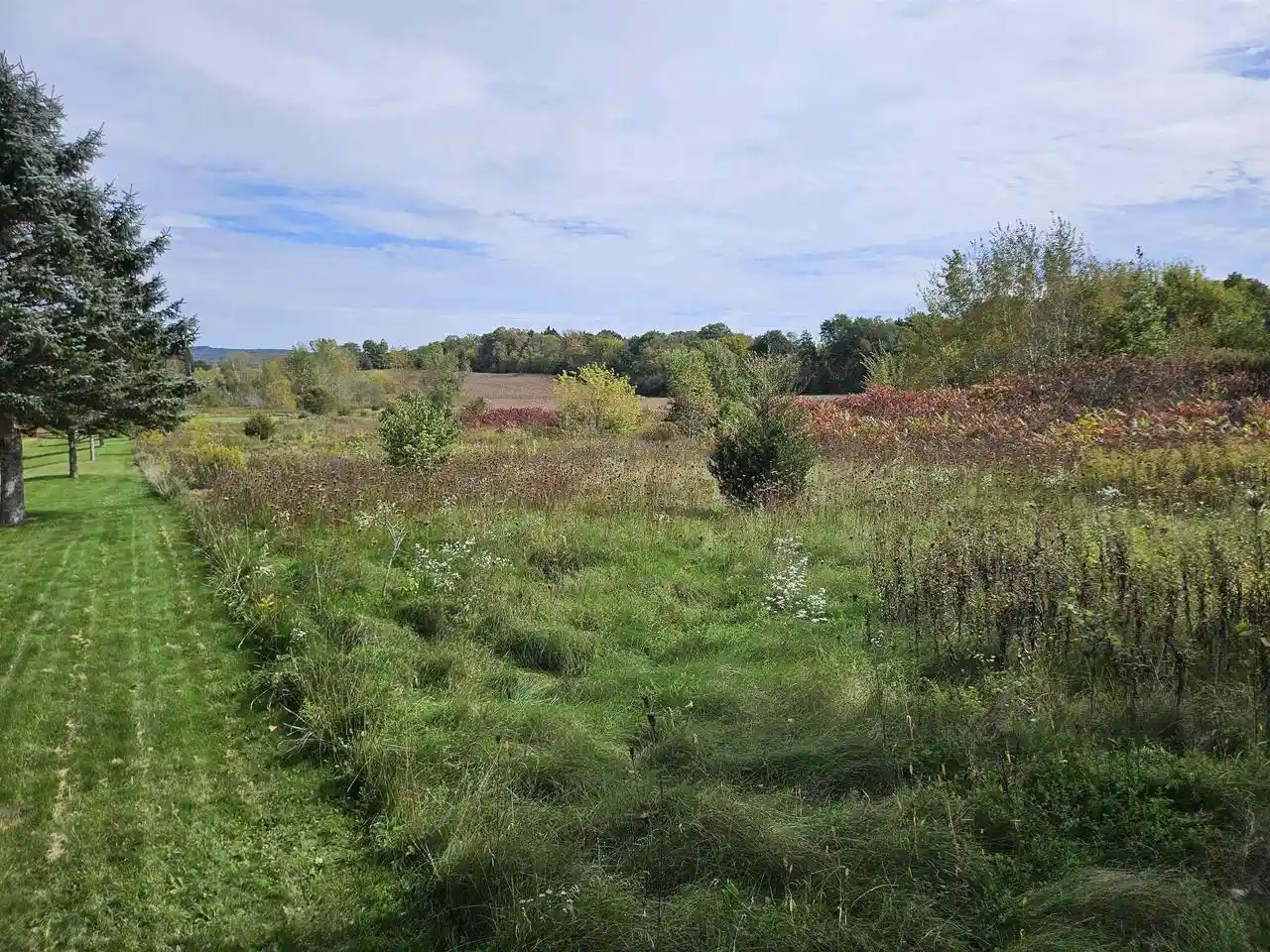Photo 3 of Land for sale at 00 Blue Spruce & Evergreen Dr, Baraboo, WI 53913 | MLS# 2034395 | Listing updated on 2026-10-09
