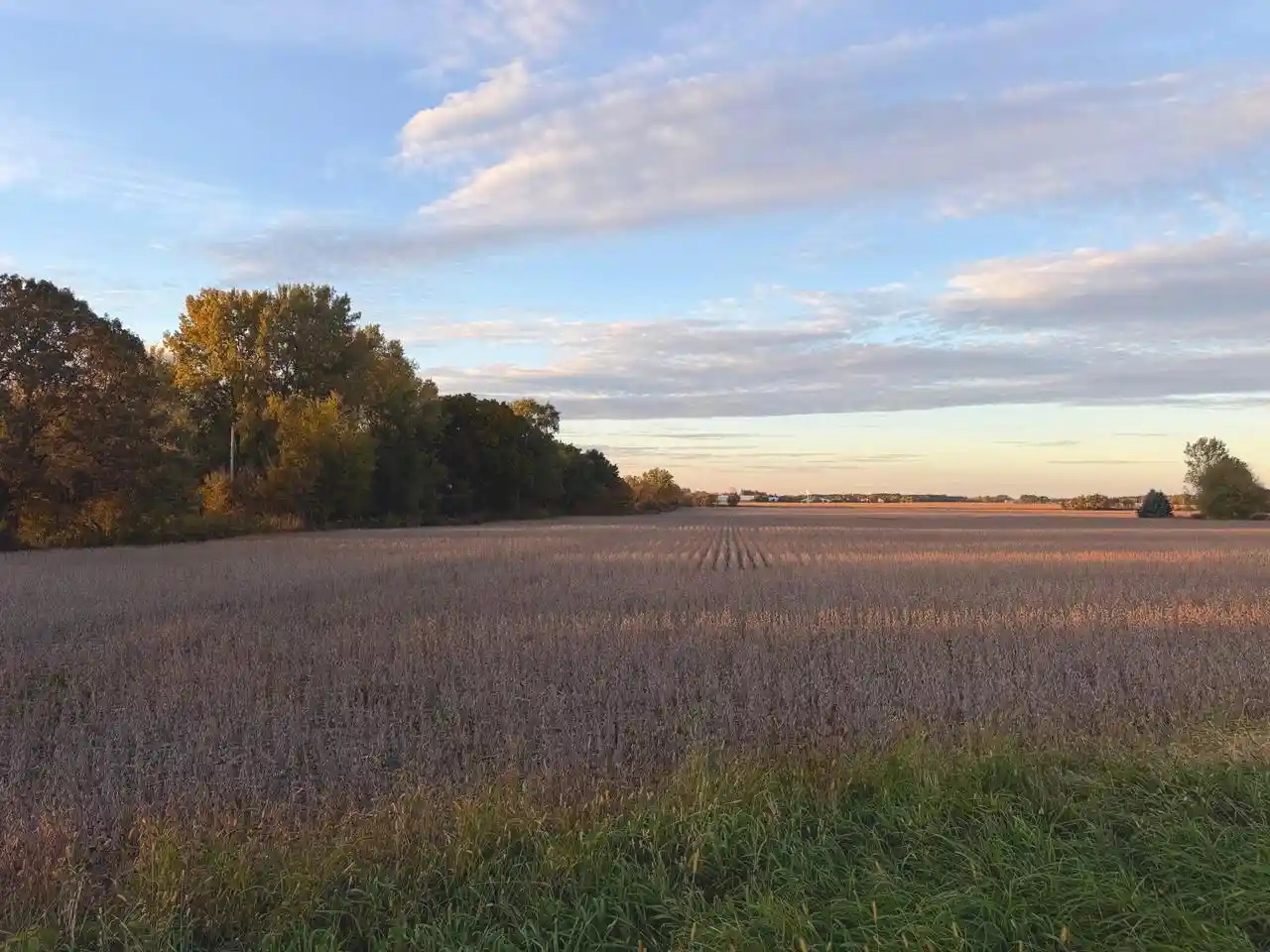 Photo 3 of Sale Pending at Lot 1 Bray Rd, Elkhorn, WI 53121 | MLS# 1984232 | Listing updated on 2026-10-23