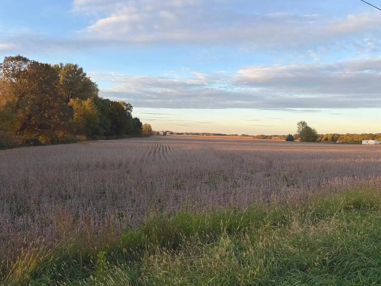 Photo 4 of Sale Pending at Lot 1 Bray Rd, Elkhorn, WI 53121 | MLS# 1984232 | Listing updated on 2026-10-23