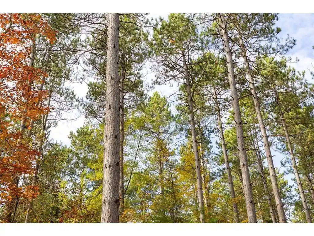 Photo 2 of Land for sale at Tbd E Prairie Rd, Osseo, WI 54758 | MLS# 7157984 | Listing updated on 2026-10-09