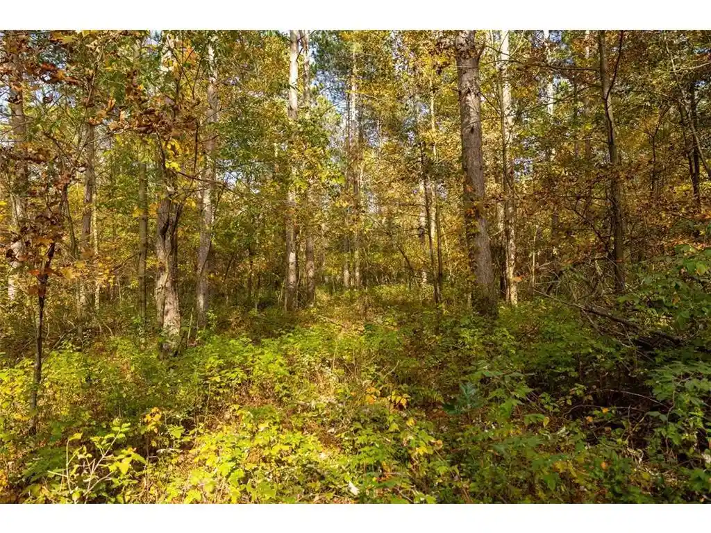 Photo 3 of Land for sale at Tbd E Prairie Rd, Osseo, WI 54758 | MLS# 7157984 | Listing updated on 2026-10-09