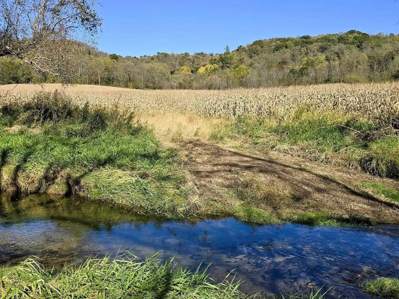 Land for sale at 196+/- Acres Hwy 171, Gays Mills, WI 54631 | MLS# 2034433