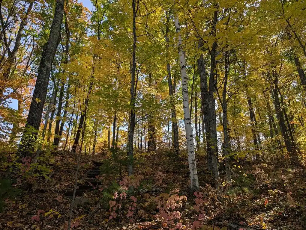 Photo 3 of Land for sale at 9703 Thunderbird Rd, Hayward, WI 54843 | MLS# 1605873 | Listing updated on 2026-10-10