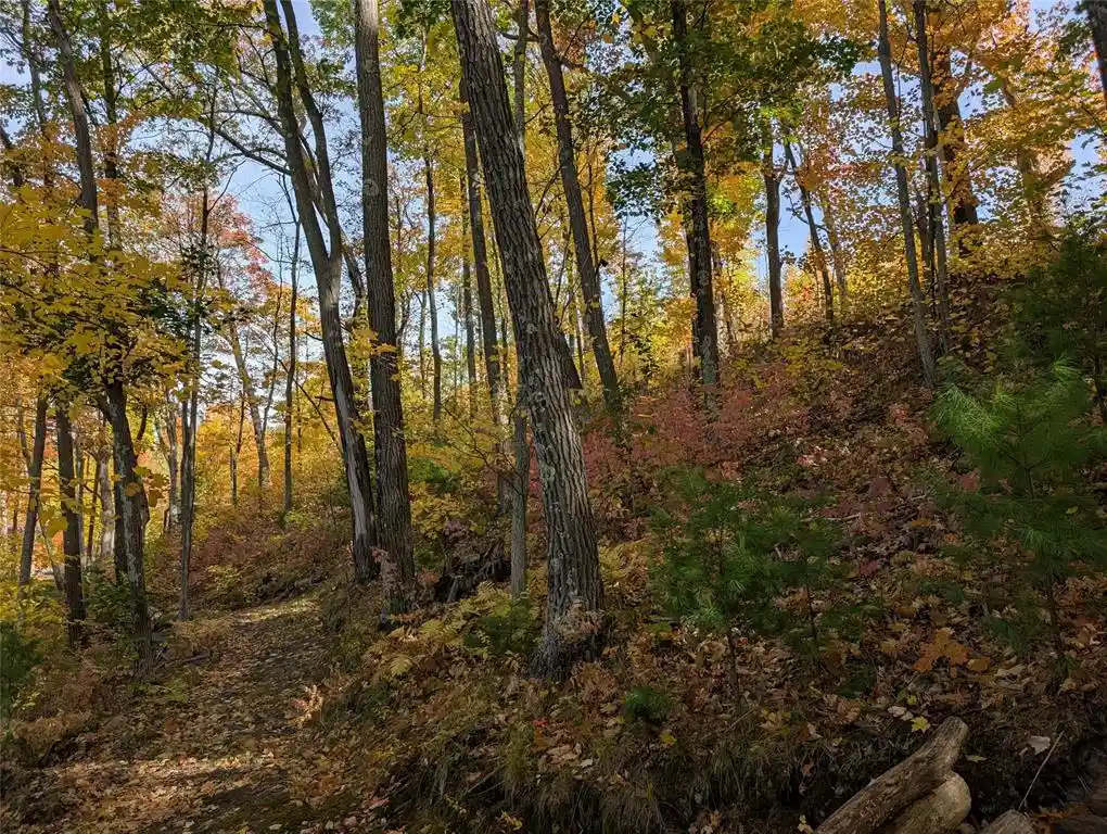 Photo 4 of Land for sale at 9703 Thunderbird Rd, Hayward, WI 54843 | MLS# 1605873 | Listing updated on 2026-10-10