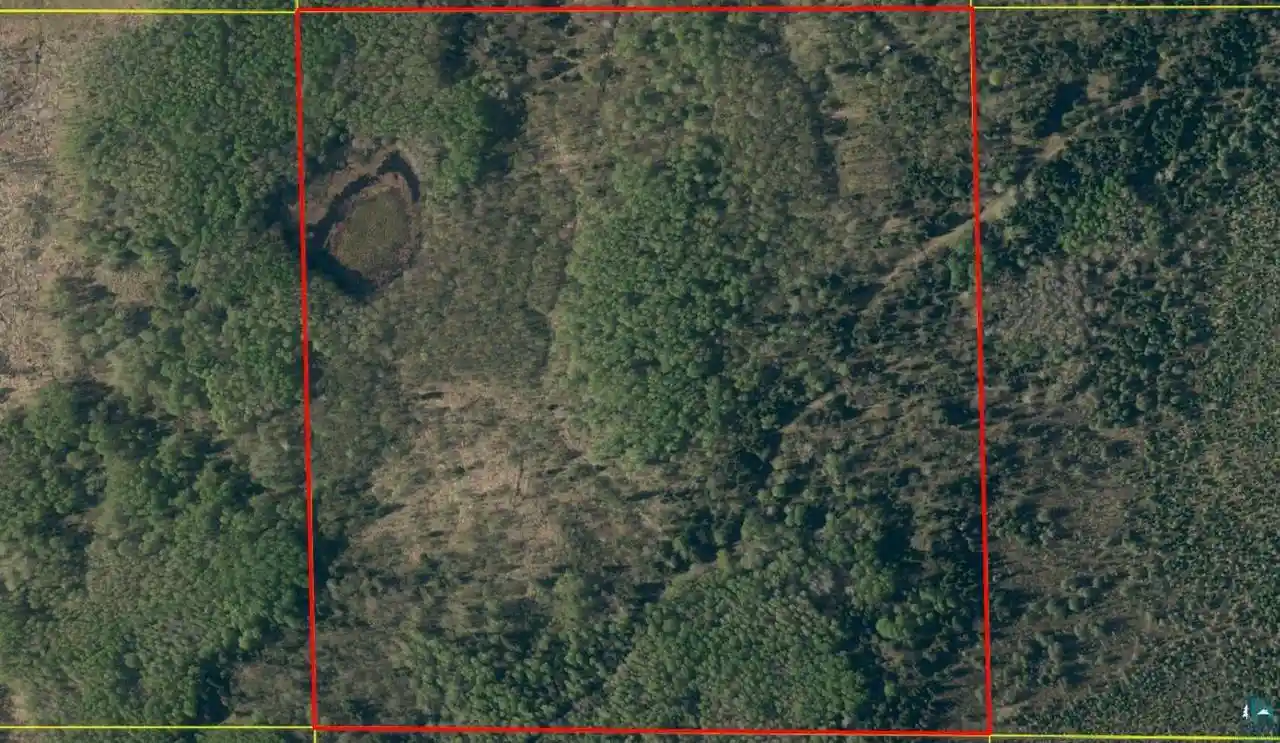 Land for sale at 40 Acres Near Chippewa Lake Rd, Butternut, WI 54515 | MLS# 6128428