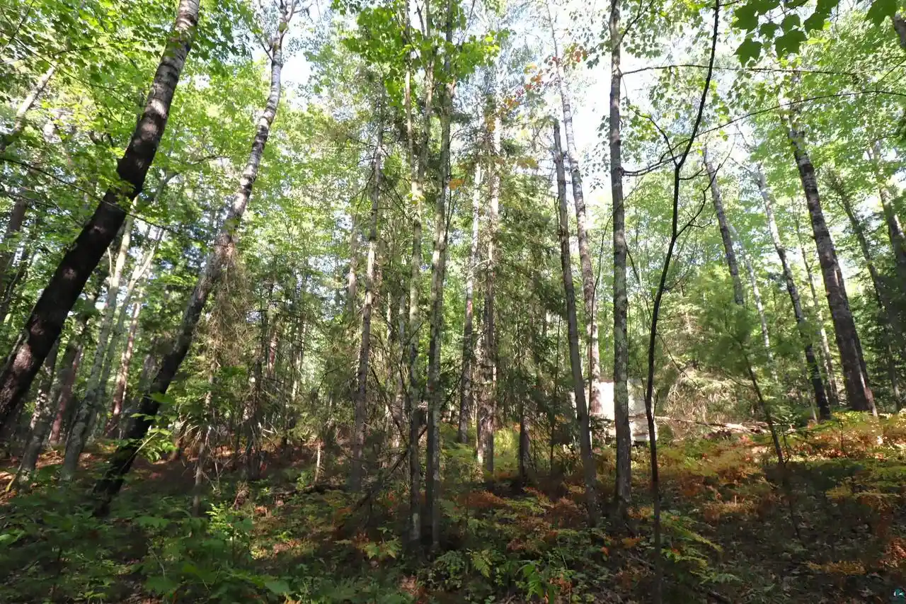 Photo 1 of Land for sale at 744 Miller Farm Rd, La Pointe, WI 54850 | MLS# 6128430 | Listing updated on 2026-10-22