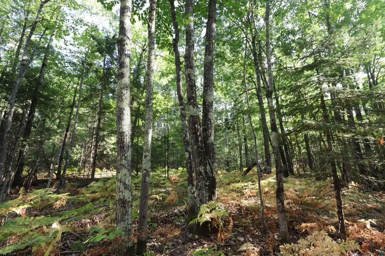 Photo 2 of Land for sale at 744 Miller Farm Rd, La Pointe, WI 54850 | MLS# 6128430 | Listing updated on 2026-10-22