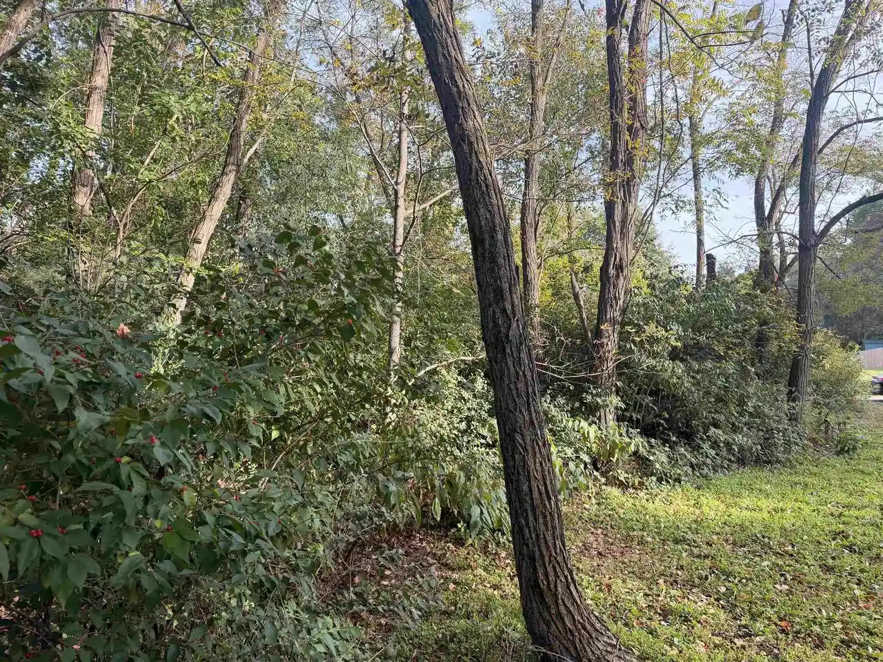 Photo 3 of Land for sale at Lot 64 Sunrise Cir, Brodhead, WI 53520 | MLS# 2034470 | Listing updated on 2026-10-12