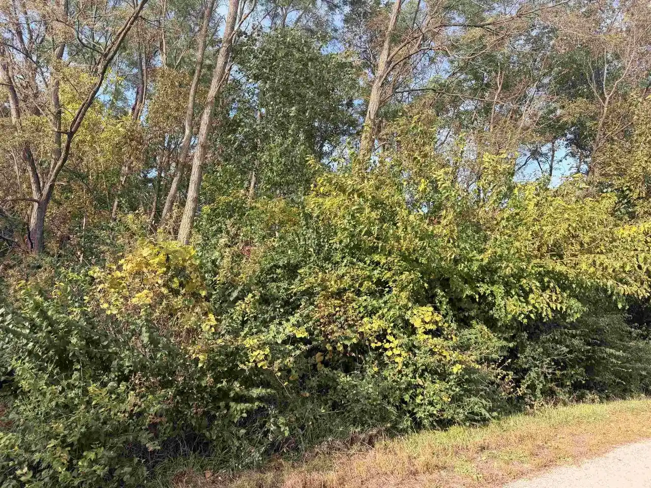 Photo 4 of Land for sale at Lot 64 Sunrise Cir, Brodhead, WI 53520 | MLS# 2034470 | Listing updated on 2026-10-12