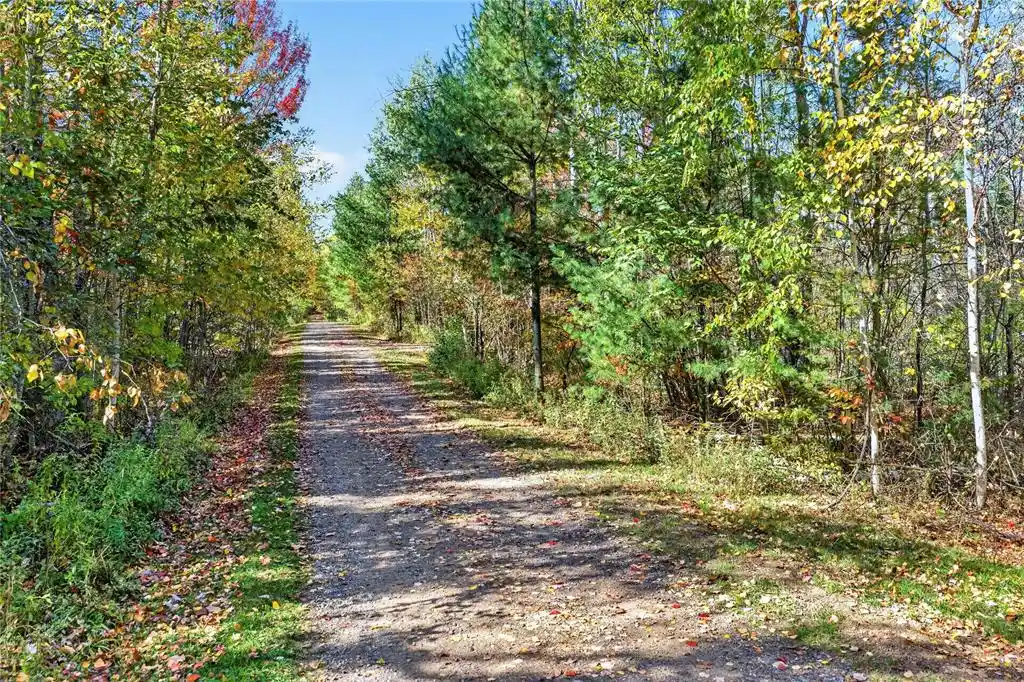 Photo 2 of Land for sale at 5864 W Otter Ln, Winter, WI 54896 | MLS# 1605830 | Listing updated on 2026-10-12