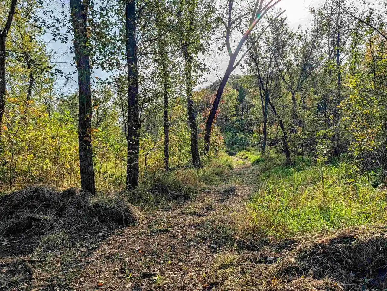 Photo 4 of Land for sale at 3002 Wi 133, Avoca, WI 53506 | MLS# 2034497 | Listing updated on 2026-10-12