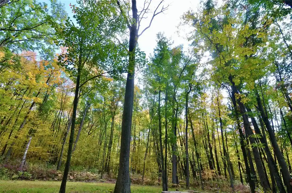 Photo 2 of Land for sale at N 5622 Crystal Mountain Rd, Spooner, WI 54801 | MLS# 1605877 | Listing updated on 2026-10-12