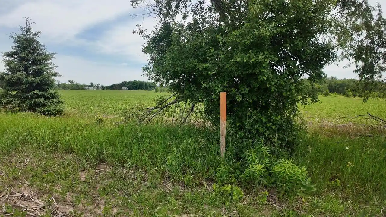 Photo 3 of Land for sale at Lot 1 Peshtigo River Rd, Laona, WI 54541 | MLS# 2034505 | Listing updated on 2026-10-12