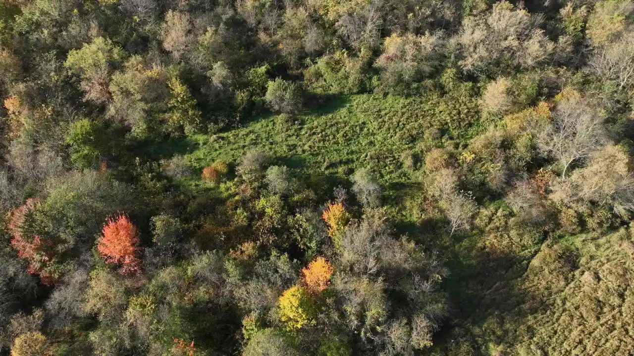 Photo 2 of Land for sale at 0000 Cth Dd Rd, Richland Center, WI 53581 | MLS# 2034516 | Listing updated on 2026-10-12