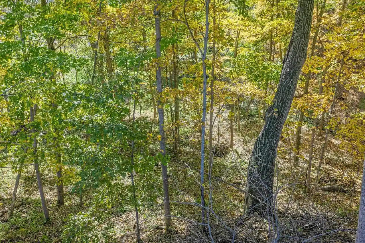 Photo 4 of Land for sale at S805 Goldfinch Ct, La Valle, WI 53941 | MLS# 2034523 | Listing updated on 2026-10-12