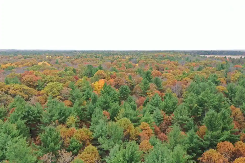 Photo 1 of Land for sale at Xxx Benson Rd, Grantsburg, WI 54840 | MLS# 1605924 | Listing updated on 2026-10-13