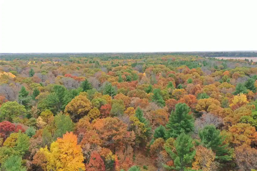 Photo 2 of Land for sale at Xxx Benson Rd, Grantsburg, WI 54840 | MLS# 1605924 | Listing updated on 2026-10-13