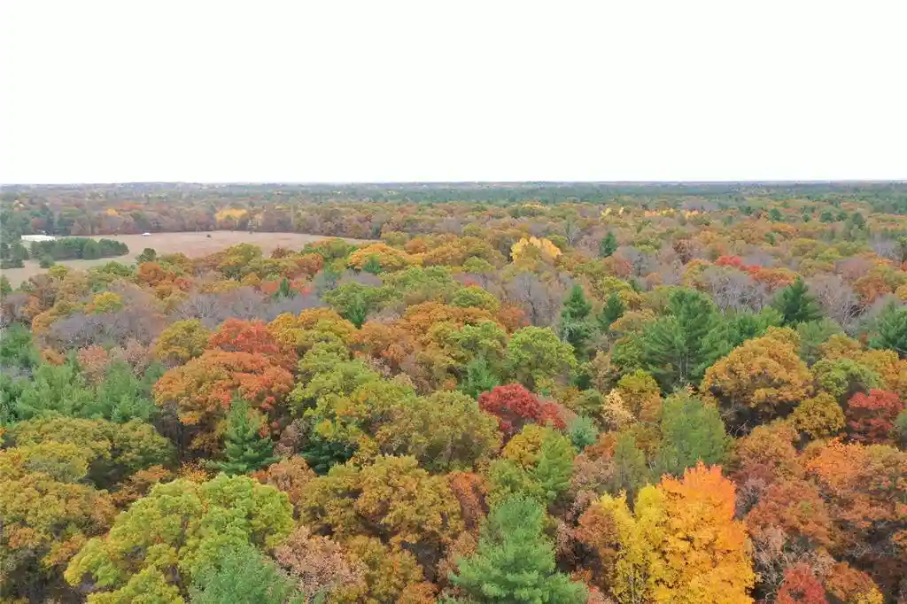 Photo 3 of Land for sale at Xxx Benson Rd, Grantsburg, WI 54840 | MLS# 1605924 | Listing updated on 2026-10-13