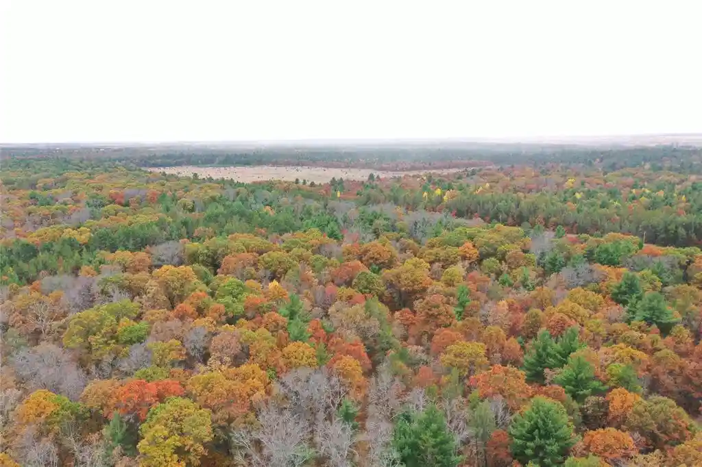 Photo 3 of Land for sale at Xxx Benson Rd, Grantsburg, WI 54840 | MLS# 1605924 | Listing updated on 2026-10-13