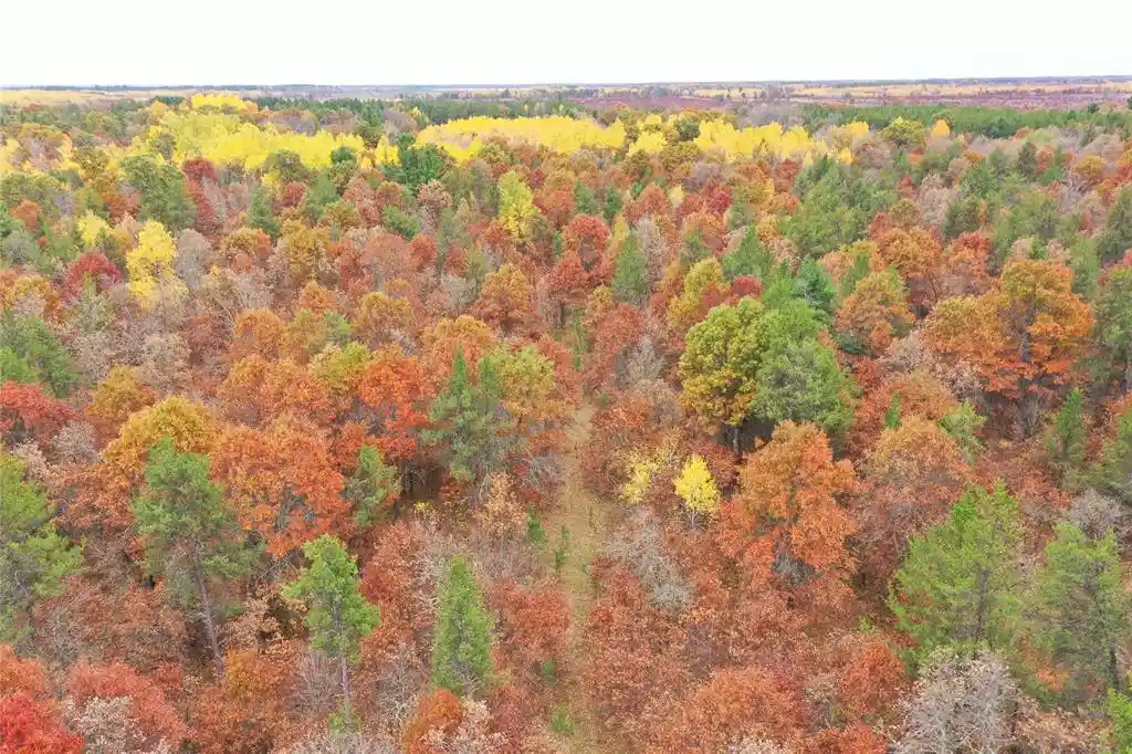 Photo 3 of Land for sale at Xxx Volkmann Ln, Grantsburg, WI 54840 | MLS# 1605909 | Listing updated on 2026-10-13