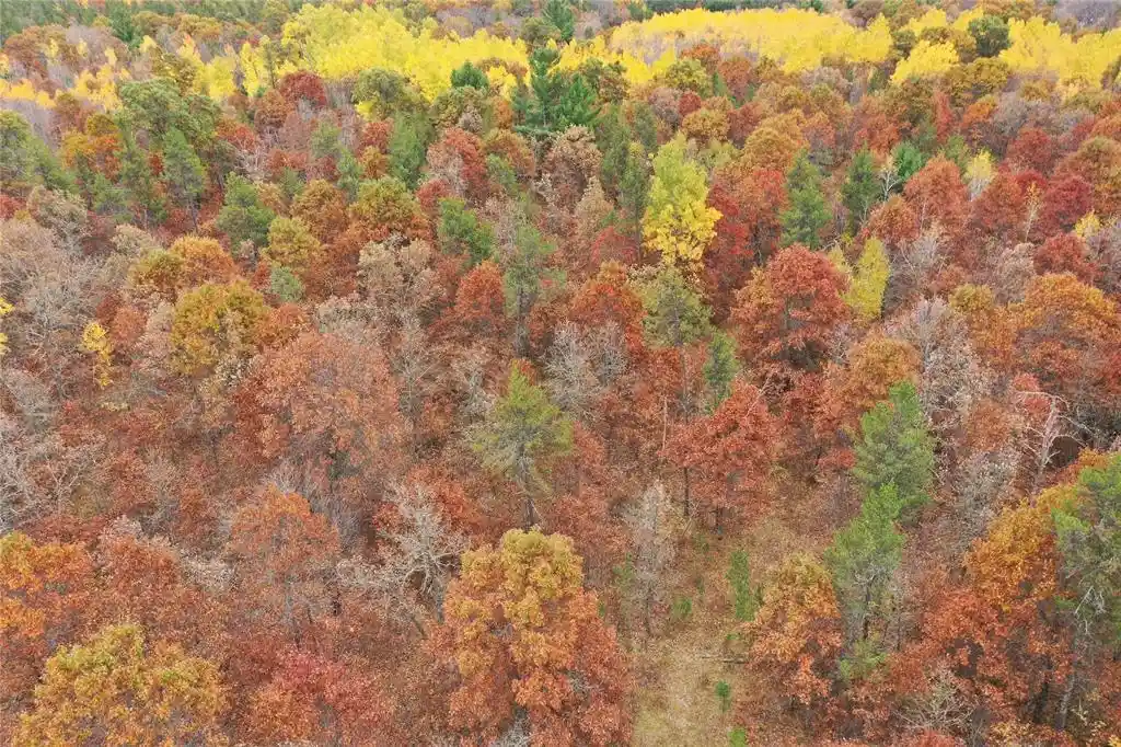 Photo 3 of Land for sale at Xxx Volkmann Ln, Grantsburg, WI 54840 | MLS# 1605909 | Listing updated on 2026-10-13
