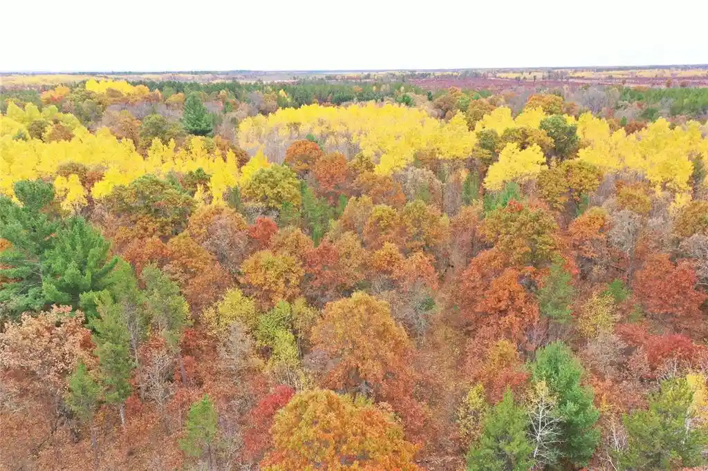 Photo 4 of Land for sale at Xxx Volkmann Ln, Grantsburg, WI 54840 | MLS# 1605909 | Listing updated on 2026-10-13