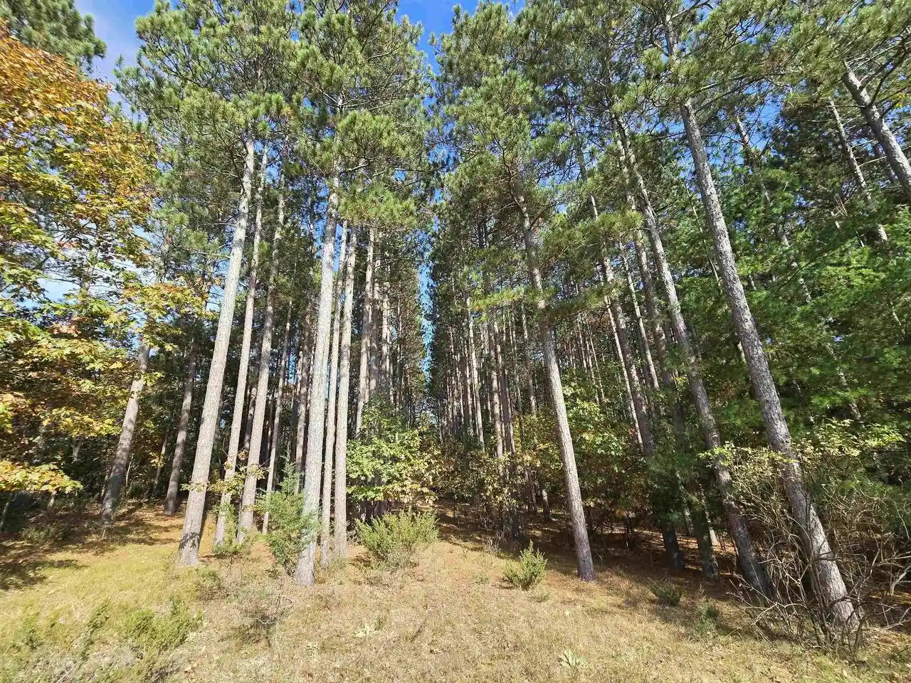 Photo 3 of Land for sale at W2310 Witz Way, Neshkoro, WI 54960 | MLS# 50334255 | Listing updated on 2026-10-13