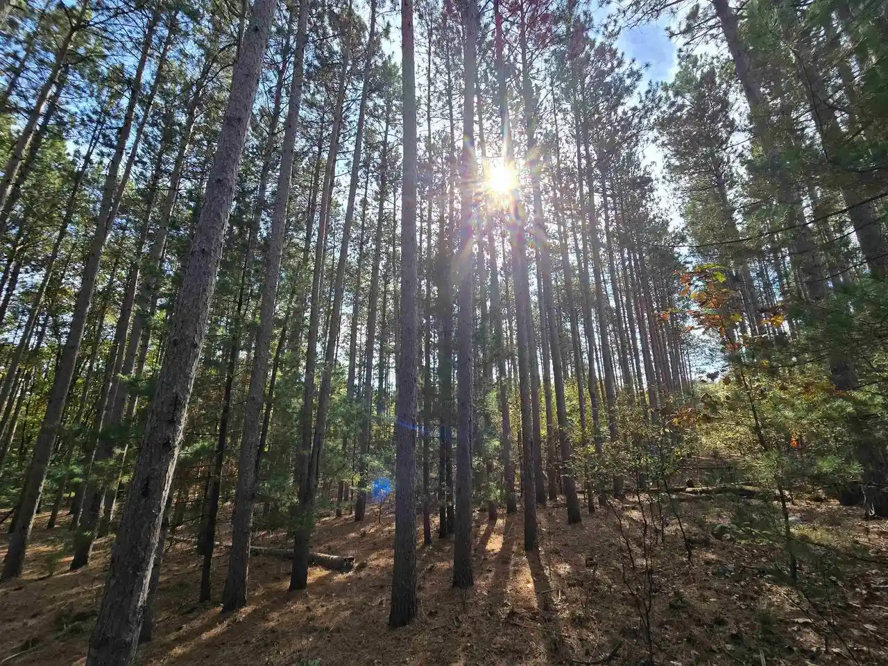 Photo 4 of Land for sale at W2310 Witz Way, Neshkoro, WI 54960 | MLS# 50334255 | Listing updated on 2026-10-13