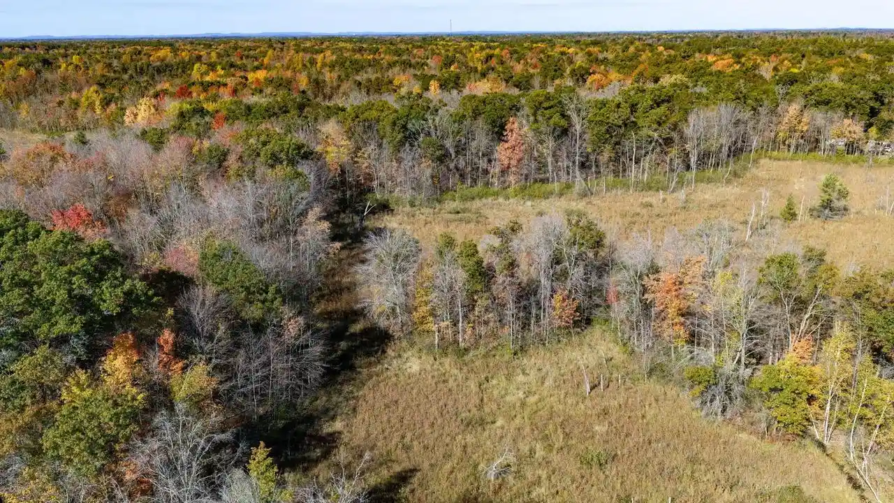 Photo 3 of Land for sale at 85+/- Acres 22nd St, Necedah, WI 54646 | MLS# 2034588 | Listing updated on 2026-10-15
