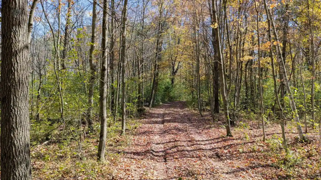 Photo 4 of Land for sale at 85+/- Acres 22nd St, Necedah, WI 54646 | MLS# 2034588 | Listing updated on 2026-10-15
