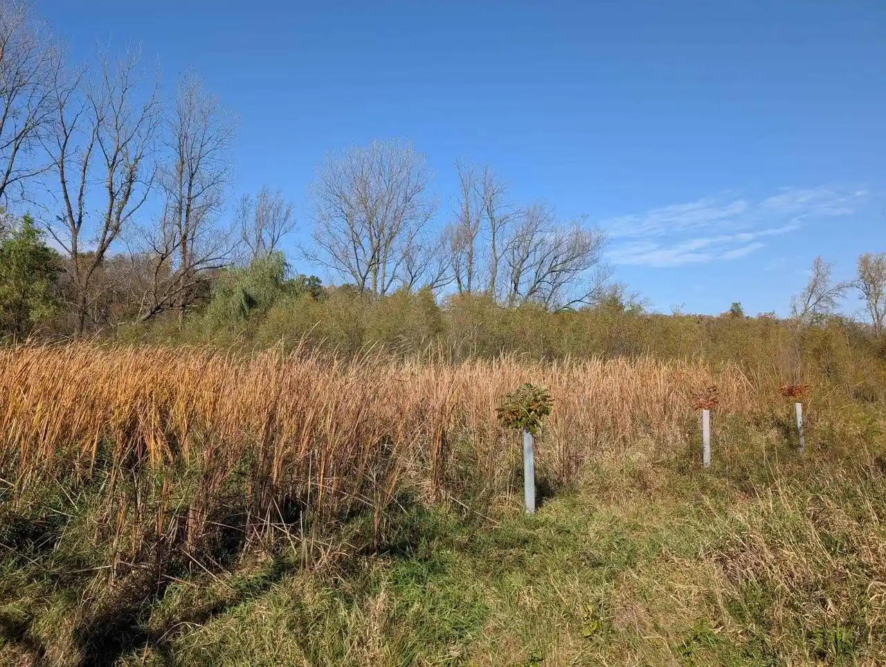 Photo 4 of Sale Pending at 1219 Ac County Rd Z, Blue Mounds, WI 53517 | MLS# 2034589 | Listing updated on 2026-10-16