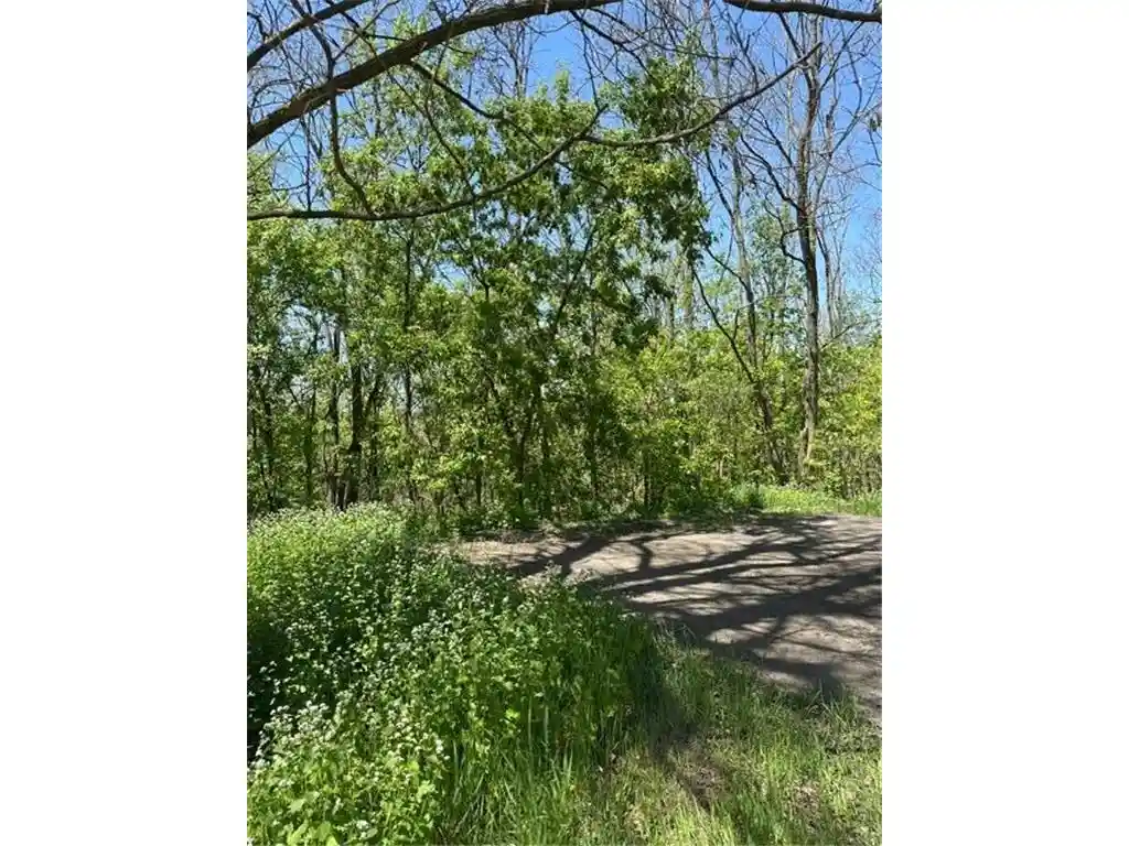 Photo 1 of Land for sale at Xxx S Adams St, Saint Croix Falls, WI 54024 | MLS# 7160483 | Listing updated on 2026-10-15