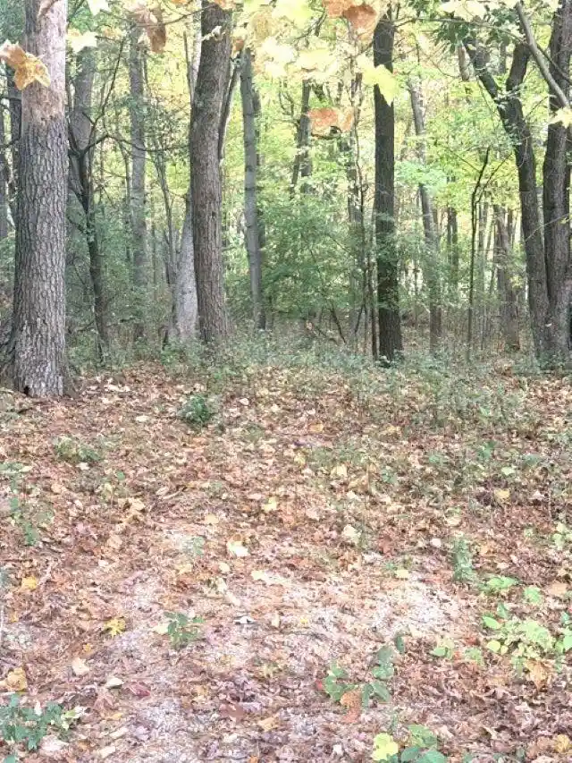 Photo 1 of Land for sale at N3082 Otter Dr, Waupaca, WI 54981 | MLS# 50334351 | Listing updated on 2026-10-15