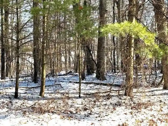 Photo 2 of Land for sale at N3082 Otter Dr, Waupaca, WI 54981 | MLS# 50334351 | Listing updated on 2026-10-15