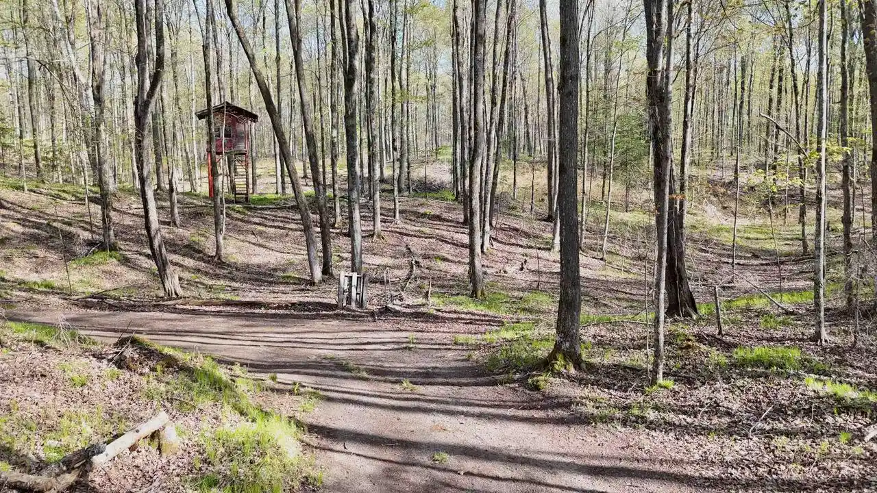 Photo 3 of Land for sale at 1199 W Blackberry Ln, Gleason, WI 54435 | MLS# 22605159 | Listing updated on 2026-10-15