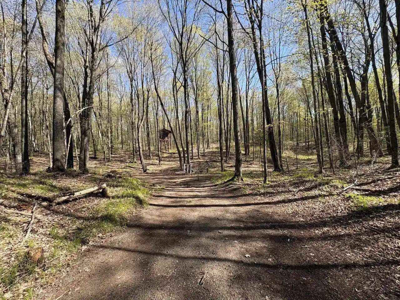 Photo 4 of Land for sale at 1199 W Blackberry Ln, Gleason, WI 54435 | MLS# 22605159 | Listing updated on 2026-10-15