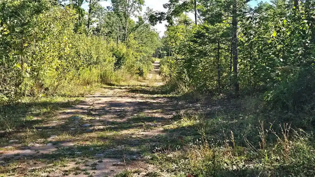 Photo 1 of Land for sale at Lot 1 Larson Rd, Hayward, WI 54843 | MLS# 1605980 | Listing updated on 2026-10-15