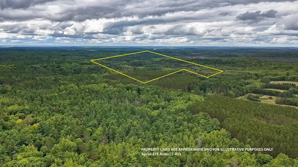 Photo 1 of Land for sale at Lot 7 Larson Rd, Hayward, WI 54843 | MLS# 1605986 | Listing updated on 2026-10-28