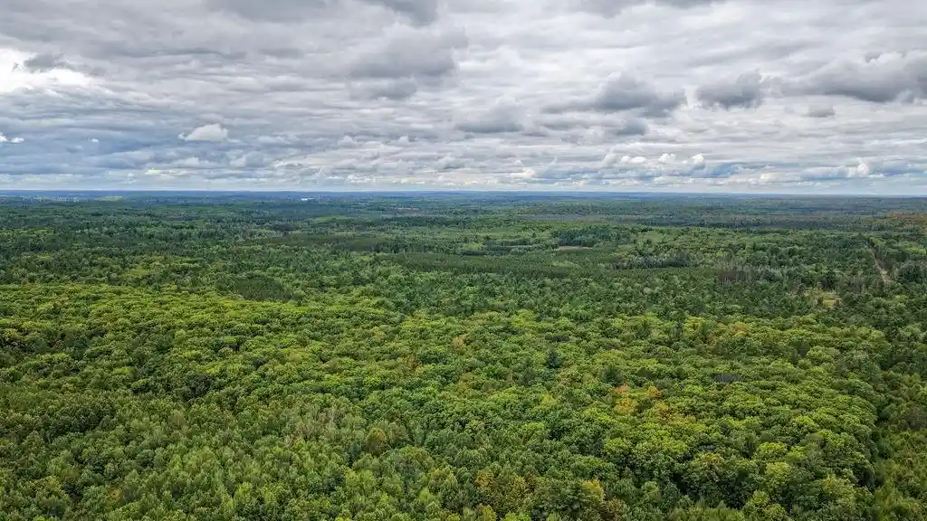 Photo 1 of Land for sale at Lot 7 Larson Rd, Hayward, WI 54843 | MLS# 1605986 | Listing updated on 2026-10-28