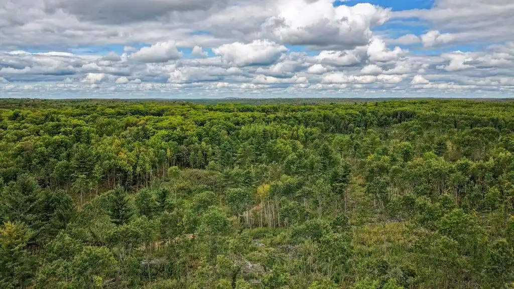 Photo 2 of Land for sale at Lot 7 Larson Rd, Hayward, WI 54843 | MLS# 1605986 | Listing updated on 2026-10-28