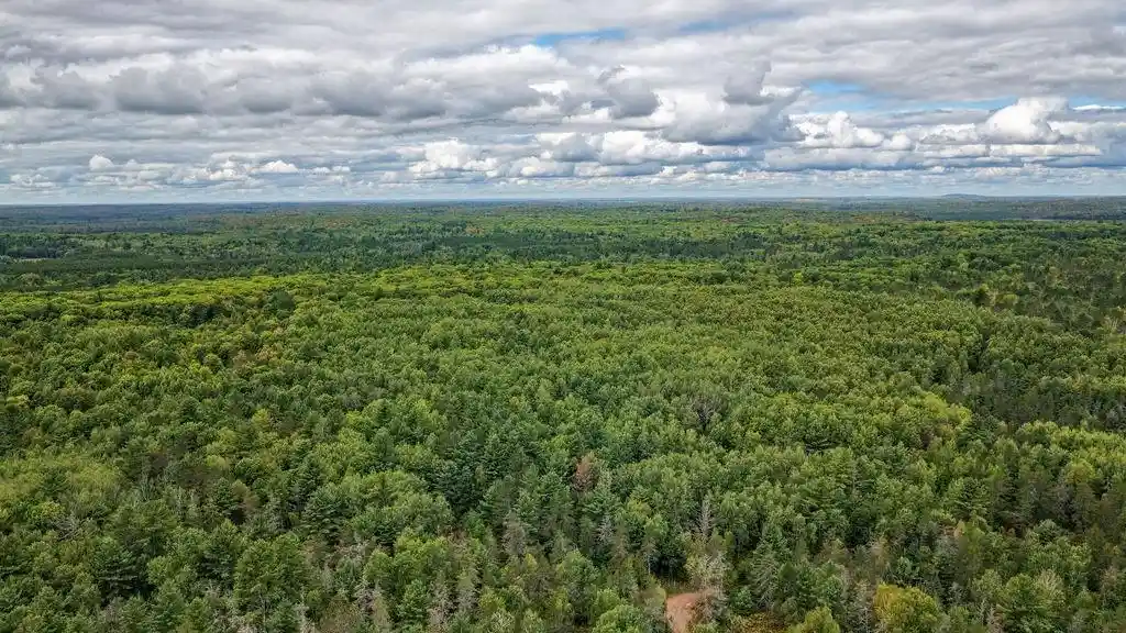Photo 4 of Land for sale at Lot 7 Larson Rd, Hayward, WI 54843 | MLS# 1605986 | Listing updated on 2026-10-28