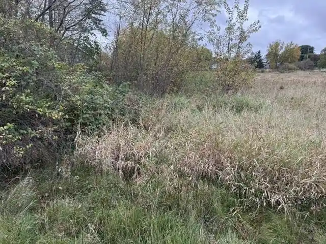 Photo 3 of Land for sale at Lot 14 Eberlein Dr, Mauston, WI 53948 | MLS# 2034771 | Listing updated on 2026-10-16