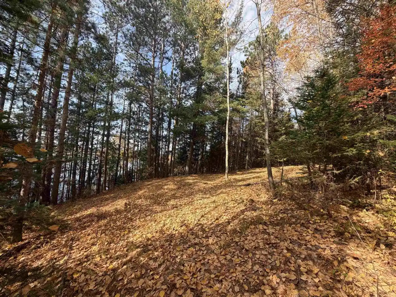 Photo 2 of Land for sale at 418ac N Railroad Ave, Crandon, WI 54520 | MLS# 2034835 | Listing updated on 2026-10-16